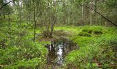 Tour Zu Fuß Unknown - Fylleryd, elljusspåret - Photo 3