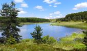 Tour Wandern Monts-de-Randon - Charpal - Photo 3