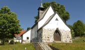 Percorso A piedi Spiegelau - Hauptwanderweg (Nationalpark Bayerischer Wald) - Photo 2