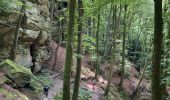 Trail Walking Echternach - Echternach-Beaufort - Photo 19