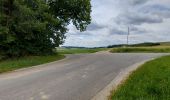 Tour Wandern Ciney - Braibant 060722 - Photo 12