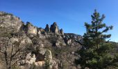 Trail Walking Saint-Félix-de-l'Héras - Les Fabres - Mas Rouquet - Photo 19