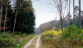 Percorso A piedi Oerlinghausen - Holzweg - Photo 8