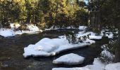 Tocht Sneeuwschoenen La Llagonne - Le long du têt  - Photo 6