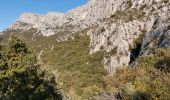 Trail Walking Puyloubier - Puyloubier - Hermitage de St. Ser- Col de Vauvenarguse - Pic des mouches - Puyloubier - Photo 17