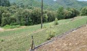 Tour Wandern Val-d'Aigoual - Bonperrier - col de l'Homme Mort - Photo 4