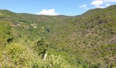 Tour Wandern Les Plantiers - les plantiers, abbaye de Fontfouillouse  - Photo 6