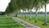 Percorso A piedi Oberschleißheim - Klausenweg Herzog Wilhem V - Photo 2