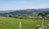 Tocht Stappen Le Puy-en-Velay - Chemin de Stenvenson 1 - Photo 1