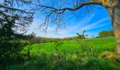 Trail Walking Houyet - Balade autour du Château de Vêves - Celles - Photo 17