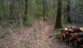 Tocht Stappen Besançon - TILLEROY POULEY LES VIGNES - Photo 1