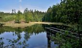 Tour Zu Fuß Altstadt - [Z] Landštejnský okruh - Photo 5