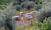 Tour Wandern Belcodène - belcodene - Photo 10