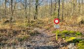 Tour Wandern Compiègne - en forêt de Compiègne_47_autour des Beaux Monts - Photo 9