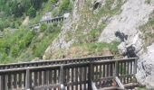 Tour Wandern Mieussy - 14-05-2022 Sommand - Col du Cordon - Cascades du Saix  - Pertuiset  - Photo 4
