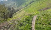 Randonnée Marche Lescun - Belvédère de Lescun - Photo 5