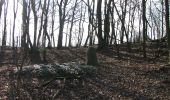 Tour Zu Fuß Immenhausen - Eco Pfad Holzhausen, Osterbergrunde - Photo 5