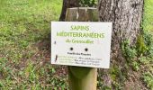 Trail Walking Gorniès - L’oppidum de la culasse - Photo 1