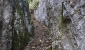 Trail Walking Choranche - reco tunnel Arbois  - Photo 6