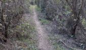 Trail Walking Mazan - Boucle NdA - Photo 1