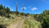 Tocht Stappen Meyrueis - Meyruis L’Esperou 26 km - Tour du mont Aigual  étape 3 - Photo 5