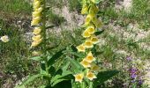 Trail Walking Champagny-en-Vanoise - Boucle de l’Adret - Photo 6