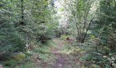 Trail Walking Laruns - COLLECTE GR108   
