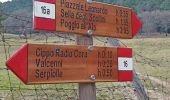 Tour Zu Fuß Vaglia - Sentiero CAI 16 - Photo 6