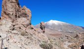 Trail On foot La Orotava - S-9 Sendero Teide-Pico Viejo–Mirador de las Narices del Teide - Photo 6