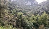 Randonnée A pied Noto - Sentiero Naturalistico - Photo 3