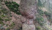 Trail Walking Jalhay - Jalhay Membach  - Photo 1