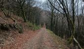 Trail Walking Ferrals-les-Montagnes - ferrals-les-Montagnes- Mont Cayroux  - Photo 14