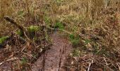 Percorso A piedi Schriesheim - Rundwanderweg Großer Stein 1: Talweg 