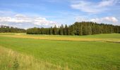 Percorso A piedi Gomadingen - Nebenweg - Ebingen - Weg Nr. 1 - Engesboch - Waldheim - Schloßfelsen - Ebingen - Holzhalde - Photo 4