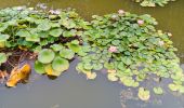 Tocht Stappen Canet-en-Roussillon - petit tour à l´arboretum de Canet ... bof bof bof  - Photo 8