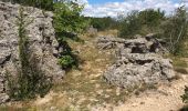 Tocht Stappen Les Plans - Forêt domaniale d'Escandorgue par Roqueredonde et l'Engayresque - Photo 8