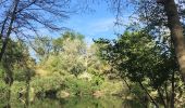 Trail Walking Lignan-sur-Orb - Sur les rives de l'Orb - Pont de Tabarka - Pont de Cazouls - Photo 2