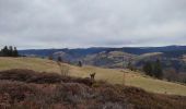 Tour Wandern Basse-sur-le-Rupt - circuit menufosse pierre des 4 Communes chalet des charmes - Photo 6