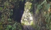 Randonnée Marche Baños de Agua Santa - Baños - Casa del Arbol - Photo 7