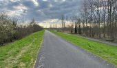 Trail Walking Dendermonde - Dendermonde Moerzeke 19,5 km - Photo 2