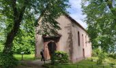 Tour Wandern Ernolsheim - 2019-05-30 Marche Mt St Michel Ernolsheim les Saverne Reel - Photo 6