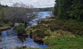 Tour Wandern Monts-de-Randon - Rando du 13/05/2024..Rieutor de Randon..Truc de Fortuneo..Lac de Charpal - Photo 14