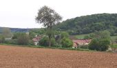 Trail Walking Varennes-Vauzelles - la bleue parigny la bleue par GR - Photo 2