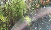 Trail Walking Rochefort - Belvaux 280423 - Photo 9