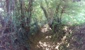 Percorso Bicicletta elettrica Pluvigner - Boucle dans la forêt de Florange à partir de Bieuzy Lanvaux - Photo 4