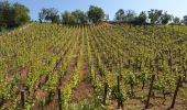 Randonnée Marche Mittelwihr - Les perles du vignoble : Mittelwihr - Beblenheim - Zellenberg - Hunawihr - Riquewihr - Sigolsheim - Photo 16