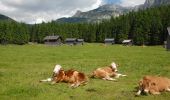 Percorso A piedi Altaussee - Wiesenweg Altaussee - Blaa Alm - Photo 9