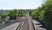 Percorso A piedi Colchester - Margery Allingham Walk - Photo 8