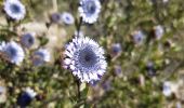 Tour Wandern Le Castellet - Roche Redonne  - Photo 12