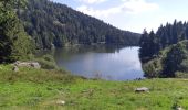 Trail Walking Le Valtin - Lac Vert - Lac du Forlet - Gazon du Faing - Photo 11